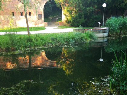 Stadtmauer mit Spiegelung Ulm Baden-Württemberg