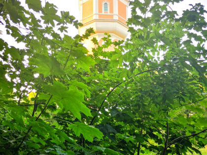 Wachturm 2 Ulm Baden-Württemberg