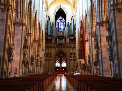 Schwalbennestorgel Ulmer Münster