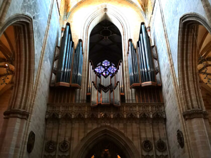 Schwalbennestorgel 2 Ulmer Münster