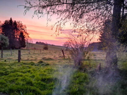 Nebel 2 - Naturfotos 2020