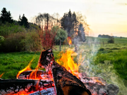 Feuer - Naturfotos 2020