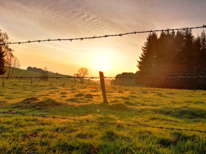 Sonnenaufgang - Naturfotos 2020