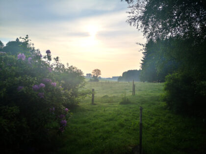 Nebel am Morgen - Naturfotos 2020