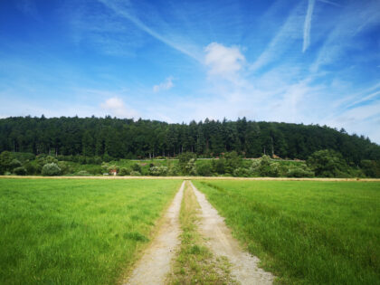 Feldweg mit Aussicht - Naturfotos 2020