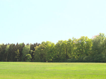 Aussicht Siebentischwald Augsburg