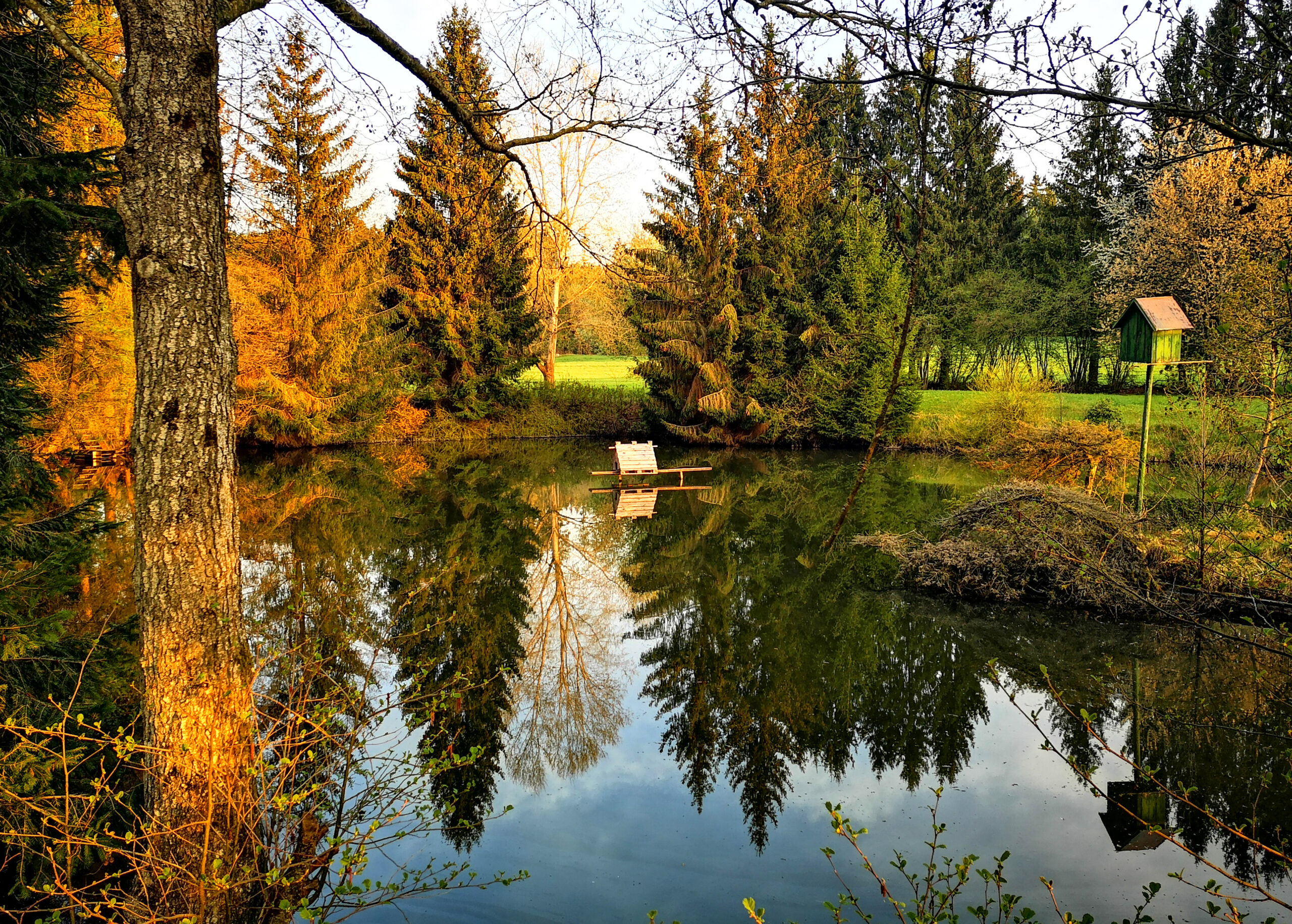 Kostenlose Fotos für alle: Entdecken Sie die Schätze von Photo.Bayern