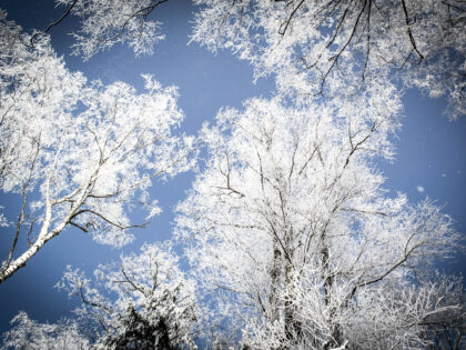 Ein unvergessliches Erlebnis: das Winterbild an der Schmutter