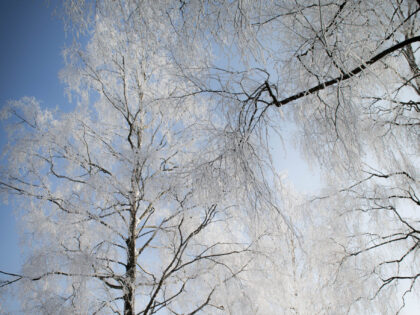 Winter-Bild an der Schmutter in Augsburg
